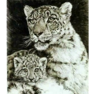 Quiet Moment - Snow leopard mother and cub by wildlife artist Chris Calle