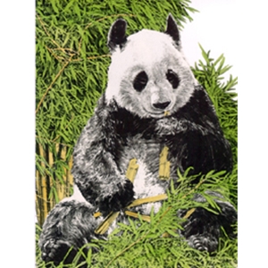Giant Panda by wildlife artist Chris Calle