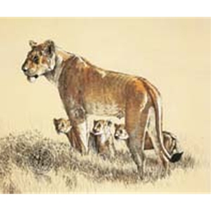 Lioness and Cubs by wildlife artist Ron Parker
