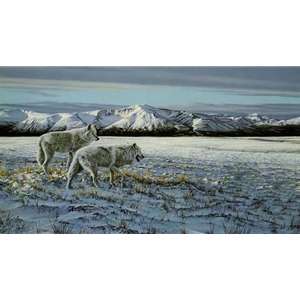 First Snow - Arctic Wolves by wildlife artist Ron Parker