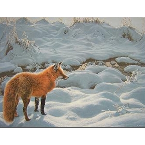 Icy Morning - Red Fox by wildlife artist Ron Parker