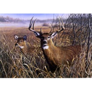 Last Look Whitetails by wildllife artist Robert Hautman available from ...
