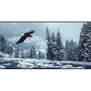 Free Flight - Bald Eagle by Daniel Smith