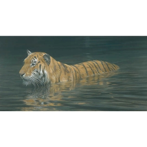 River Ford - Tiger by Robert Bateman