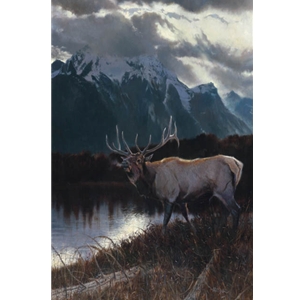 Majesty - bull elk by wildlife artist Matthew Hillier