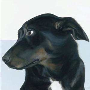 In the Ruff - Wistful (black lab) by canine artist Gretta Gibney