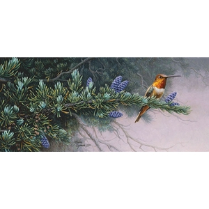 Wildflower Suite - Rufous Hummingbird and Mountain Hemlock by wildlife artist Stephen Lyman