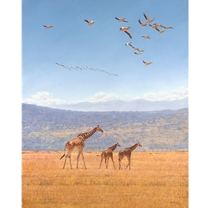 High Hopes - Rothschild giraffe by African wildlife artist Guy Combes