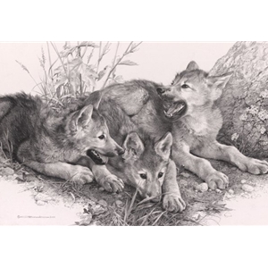 Waiting for Mom - wolf cubs by wildlife artist Carl Brenders