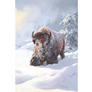 Heavy Drifting - american buffalo (bison) in snow by artist Bonnie Marris