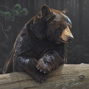 Logging On - portrait of a black bear by wildlife artist Dan Smith
