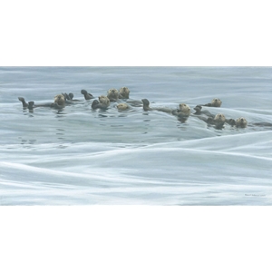 Raft of Otters by Robert Bateman