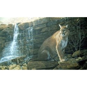 Last Light - Cougar by artist Ron Parker