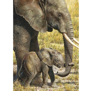 Baby Mine - Elephants by Carl Brenders
