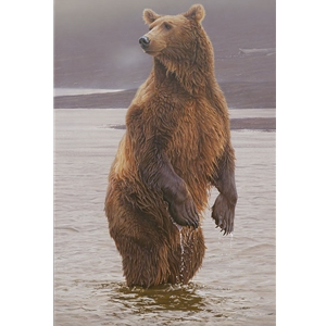 ~ Rising Expectations - Grizzly Bear standing upright by Daniel Smith
