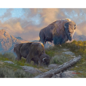 Morning Graze - Bison pair by artist Dustin Van Wechel