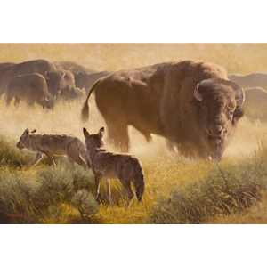 The Passersby - Bison herd and coyote by Dustin Van Wechel