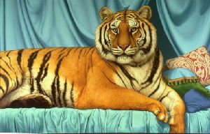 Sheeba - portrait of tiger by Tom Palmore