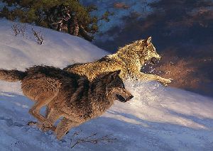 Bustin' Through - Wolves by wildlife artist Greg Beecham