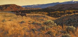 Step Into the Light - mule deer by Greg Beecham