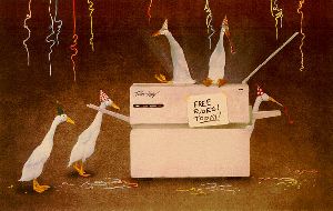 Fridays After Five - Ducks playing on Copy machine by Will Bullas