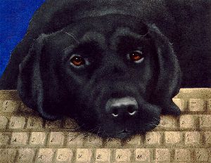 Dog Byte - Black lab with computer keyboard by Will Bullas