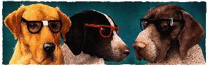 The Nerd Dogs - wearing glasses by comedic artist Will Bullas