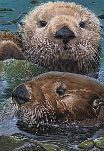 Otter Wise by John Dawson