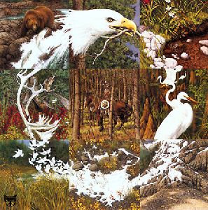 The Sacred Circle by Bev Doolittle