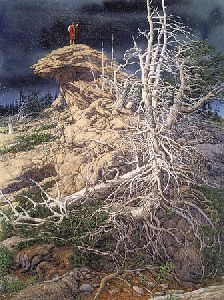 Prayer for the Wild Things by Bev Doolittle