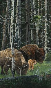 The Survivors - Bison with young by Judy Larson