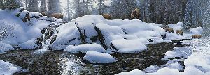High Creek Crossing - bison in winter by Stephen Lyman