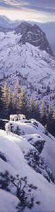 High Light - mountain goats by Stephen Lyman