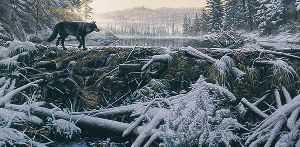 The Crossing  - wolf by wilderness artist Stephen Lyman