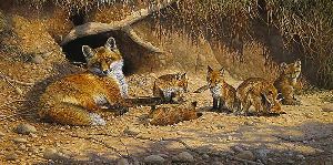 Spring Fever - Red Fox with kits by wildlife artist Bonnie Marris