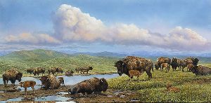 The Gifts of Spring - Bison herd grazing by wildlife artist Bonnie Marris