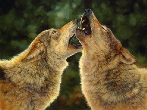 Sing Out - Wolves by wildlife artist Bonnie Marris