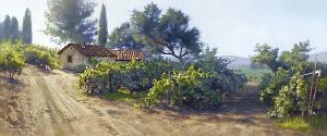 Monterey Vineyard by June Carey