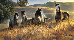 Amazing Grays III - Wild Horses by wildlife artist Nancy Glazier