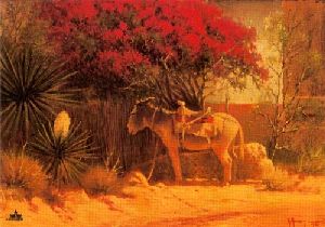 Flowers of Ixtapan by G. Harvey