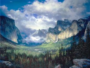 Yosemite Valley by Larry Dyke