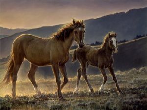 Star and Her Foal by Nancy Glazier