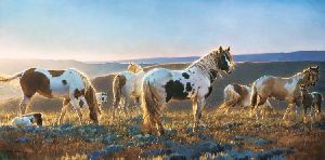 Welcome the Dawn - Horses grazing by wildlife artist Nancy Glazier