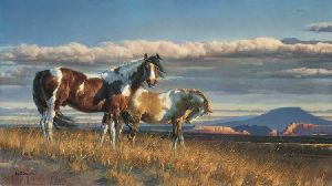 The Painted Desert by Nancy Glazier